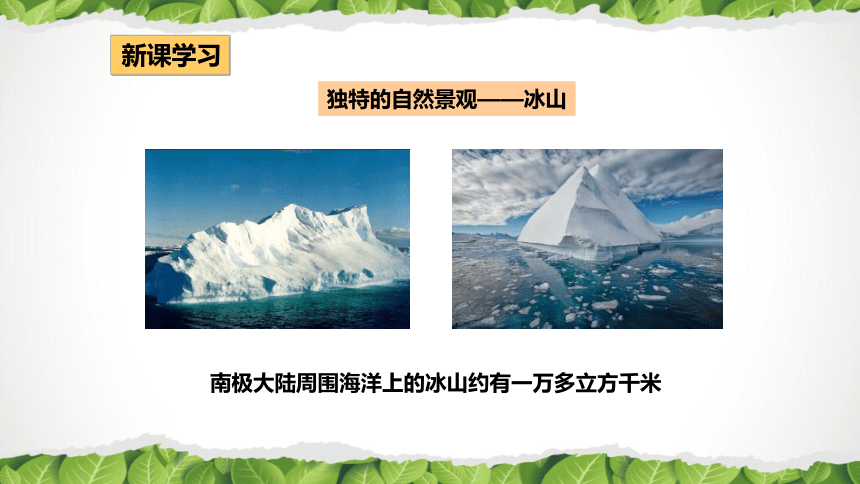 2020-2021学年人教版七年级地理下册第十章《极地地区》课件（共44张PPT）