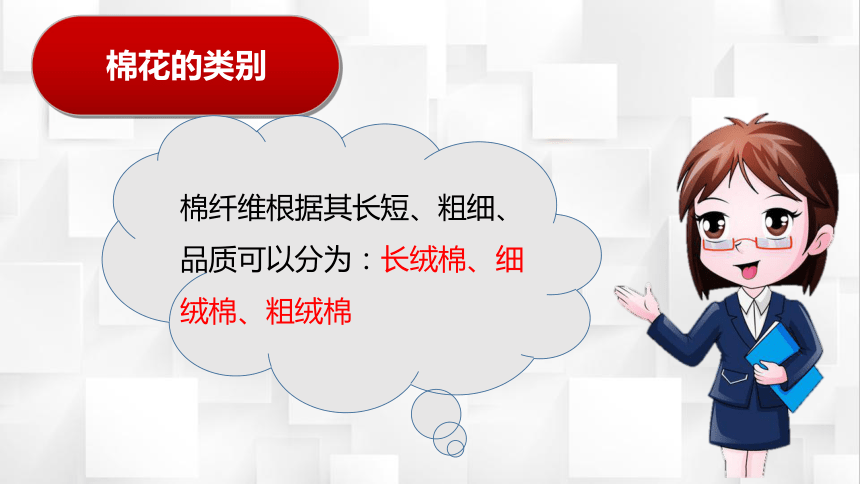 3.1棉纤维 课件(共15张PPT)-《服装材料》同步教学（高教版）