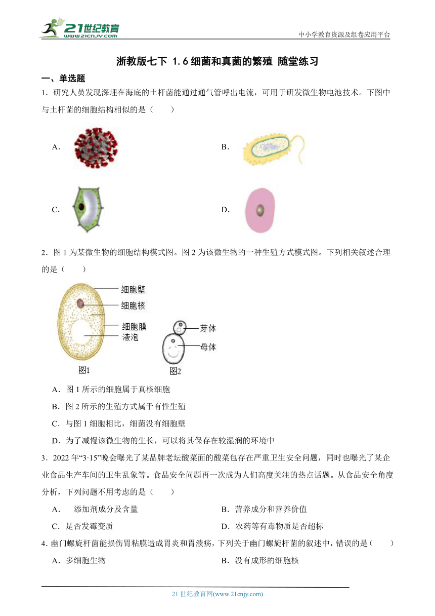 浙教版七下 1.6细菌和真菌的繁殖 随堂练习（含解析）