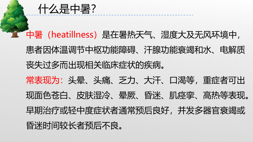 2.3 清凉夏日行 课件——二年级综合实践活动下册（浙教版）