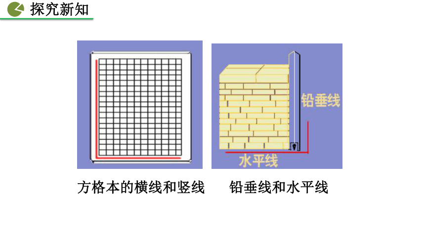 2020-2021初中数学北师版七年级下册同步课件2.1 两条直线的位置关系(第2课时 35张)