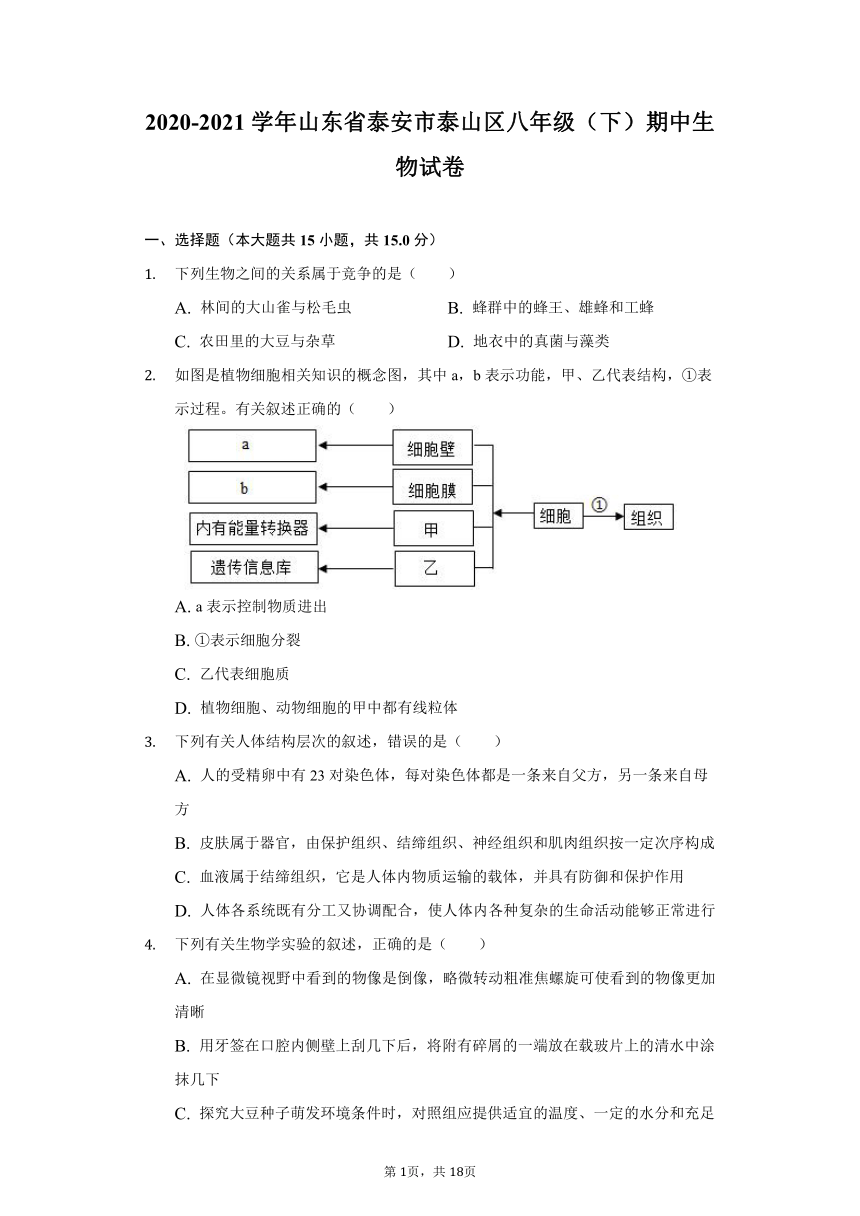 2020-2021学年山东省泰安市泰山区八年级（下）期中生物试卷（word版含解析）