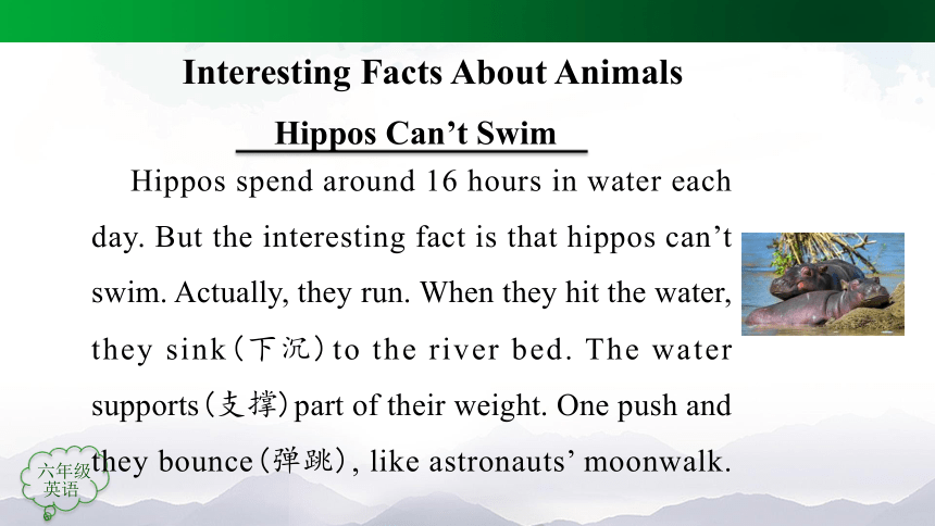 人教版（新起点）六年级上册 Revision 2 Interesting Facts About Animals  课件（49张PPT，内嵌音视频）