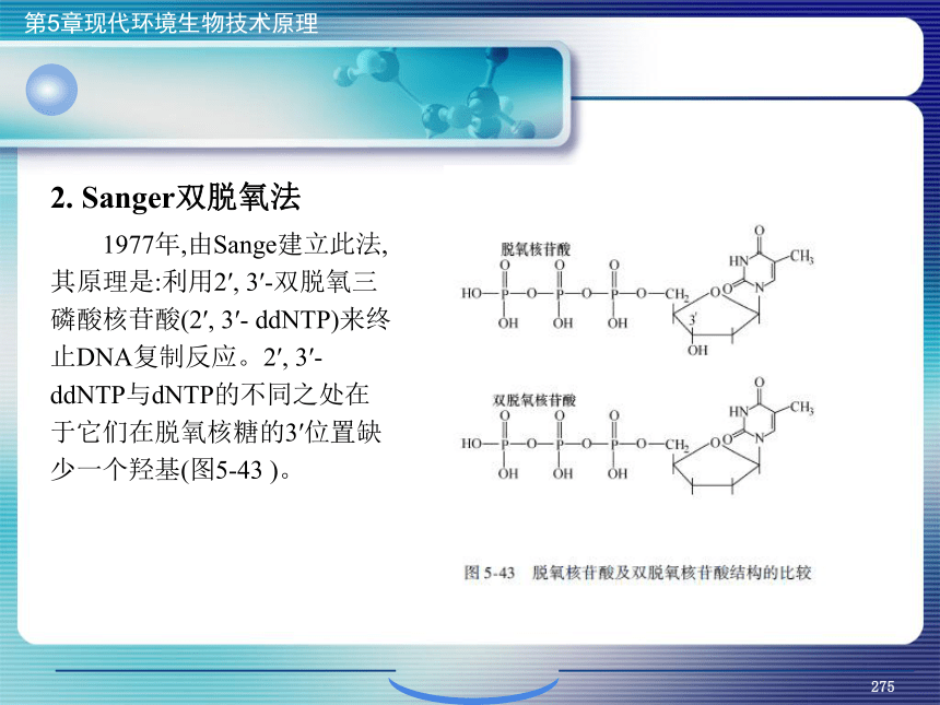 5.现代环境生物技术原理_10 课件(共22张PPT）- 《环境生物化学》同步教学（机工版·2020）