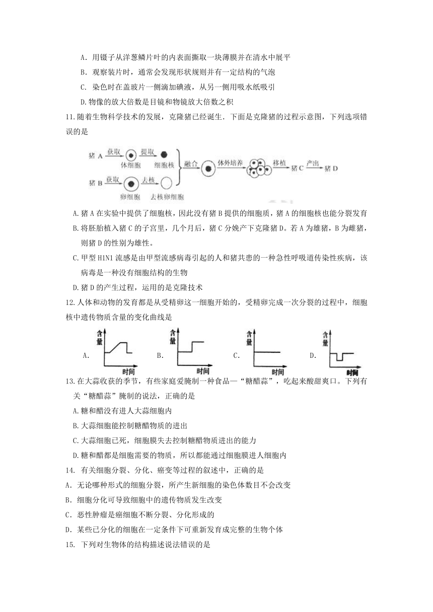 山东省泰安市宁阳县第二十一中学期末生物试题（含答案）2022-2023学年鲁科版六年级上学期