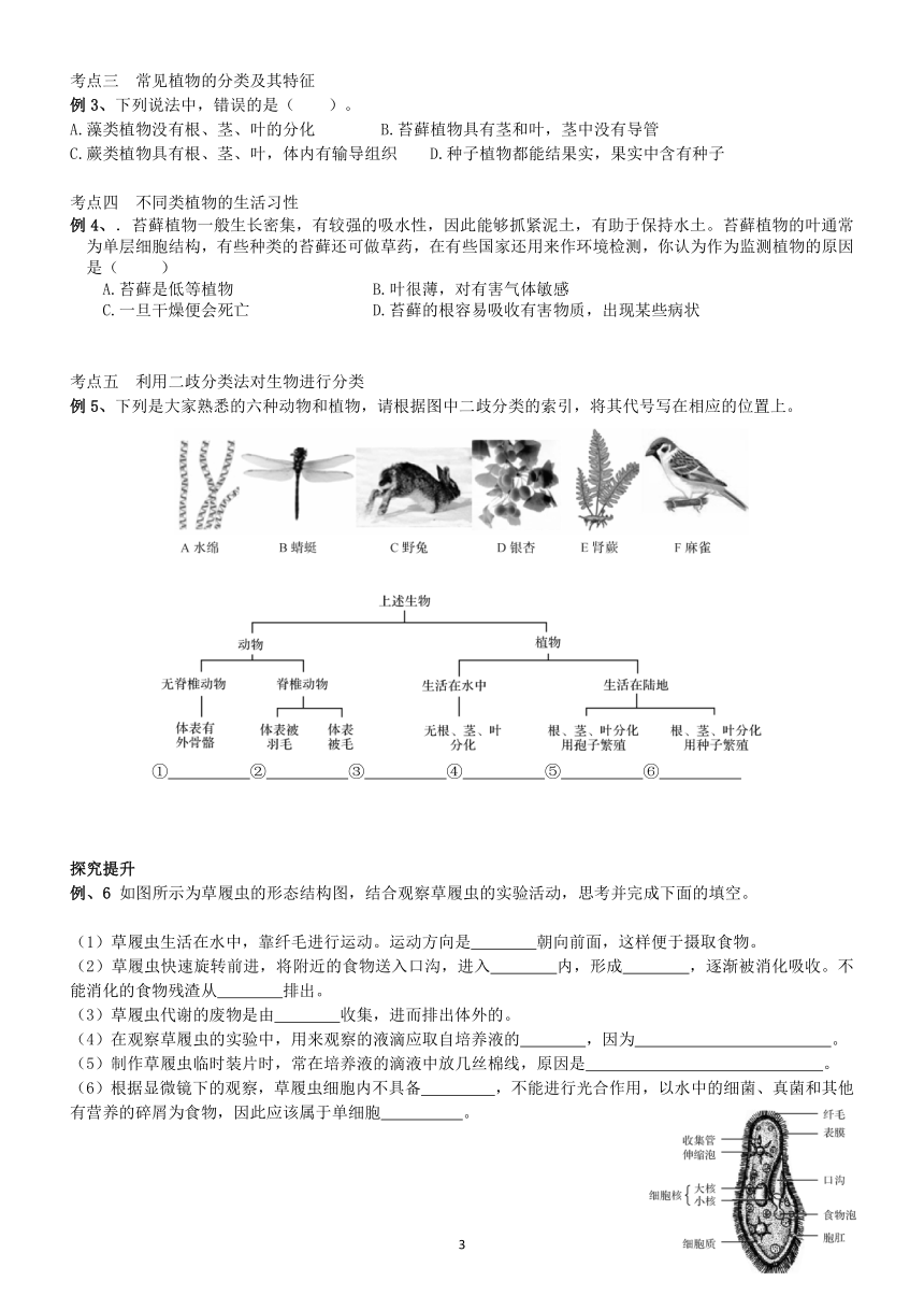 第2章 常见的动、植物及其分类 学案（含答案）