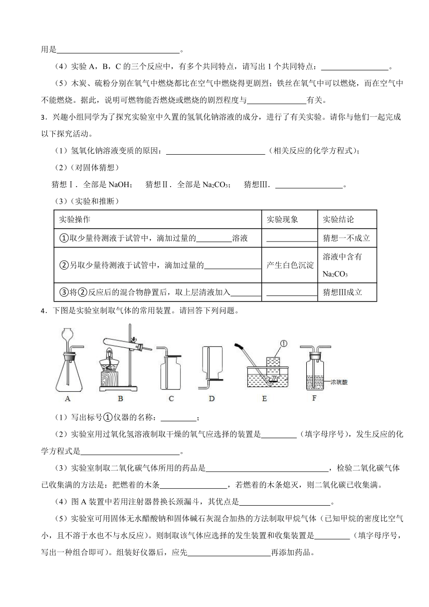 2024年中考化学备战二轮复习----实验探究题(含解析)