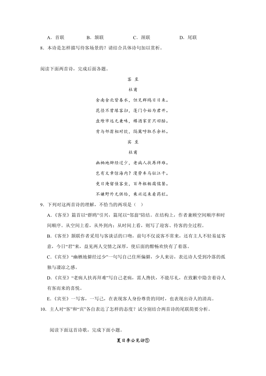 古诗词诵读《客至》同步练习（含解析）2023-2024学年高二语文统编版选择性必修下册