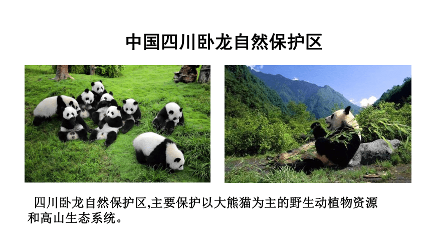 学习与探究 中国的自然保护区 课件（共10张PPT）