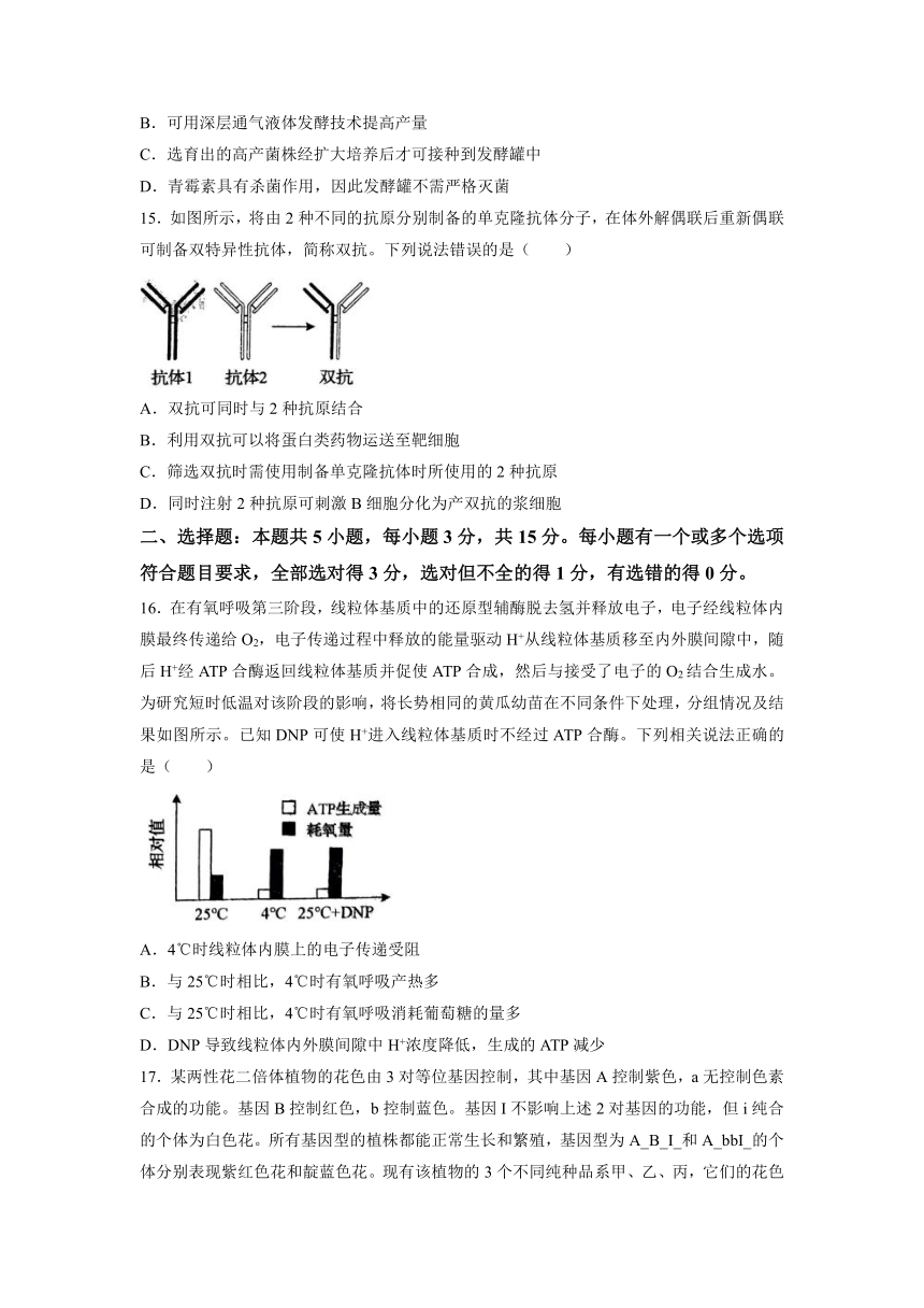 2022年新高考山东卷高考生物真题试卷（Word版，含答案）