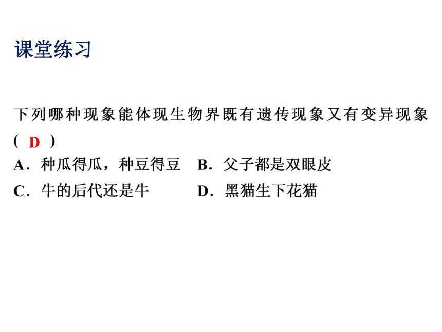 2021-2022学年度北师版八年级生物上册6.20.1 遗传和变异现象课(PPT.17张)