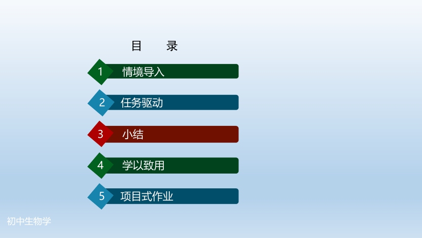 2.2.2  动物体的结构层次-课件(共27张PPT)