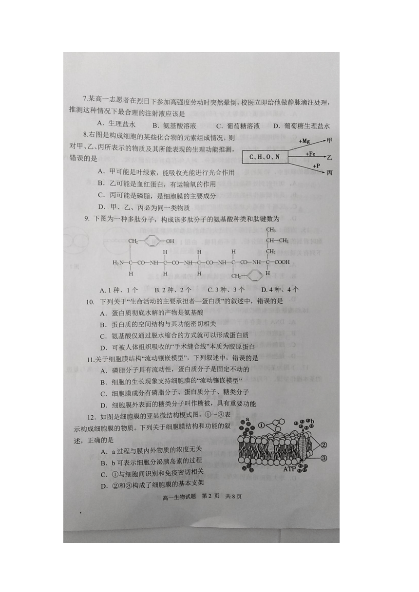 江苏省盐城市东台市2020-2021学年高一上学期期末考试生物试题       （图片版）