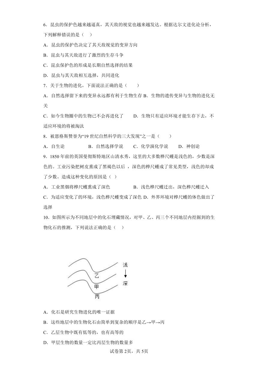 第7单元第23章 生物的进化  章节练习（含答案） 八年级下册生物 苏科版