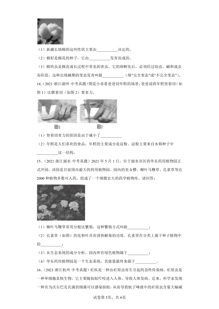 09细菌和真菌的繁殖、植物的生殖与发育-浙江省各地区2020-2022中考科学真题汇编（含解析）