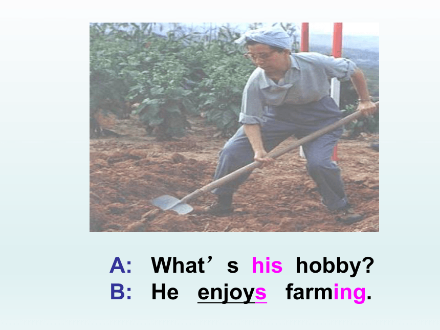 Unit 7 Lesson 37 What’s Your Hobby？课件 (共12张PPT)