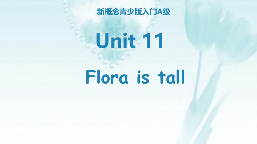 Starter A：Unit 11 Flora is tall 课件（25张）