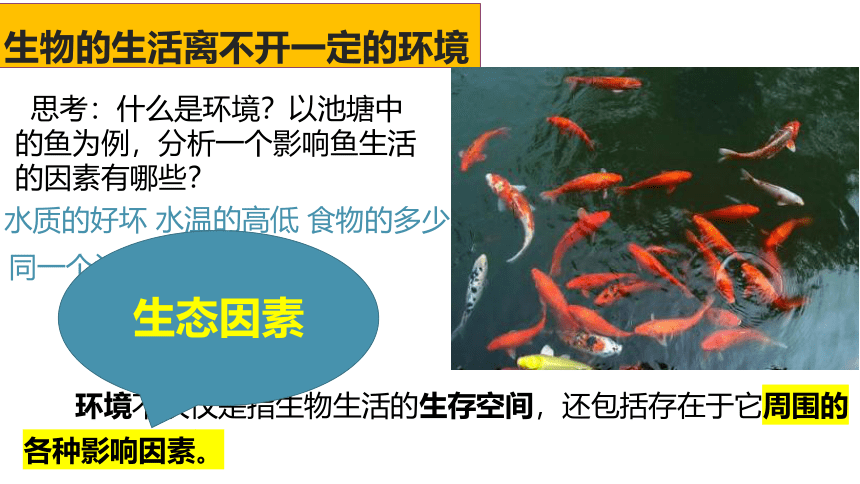 2022--2023学年人教版生物七年级上册 2.1.1生物与环境的关系 第一课时课件（ 含视频 共31张PPT）