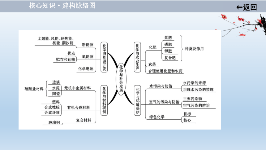 2021届鲁教版中考化学大一轮单元总复习：第十一单元　化学与社会发展(共32张PPT)