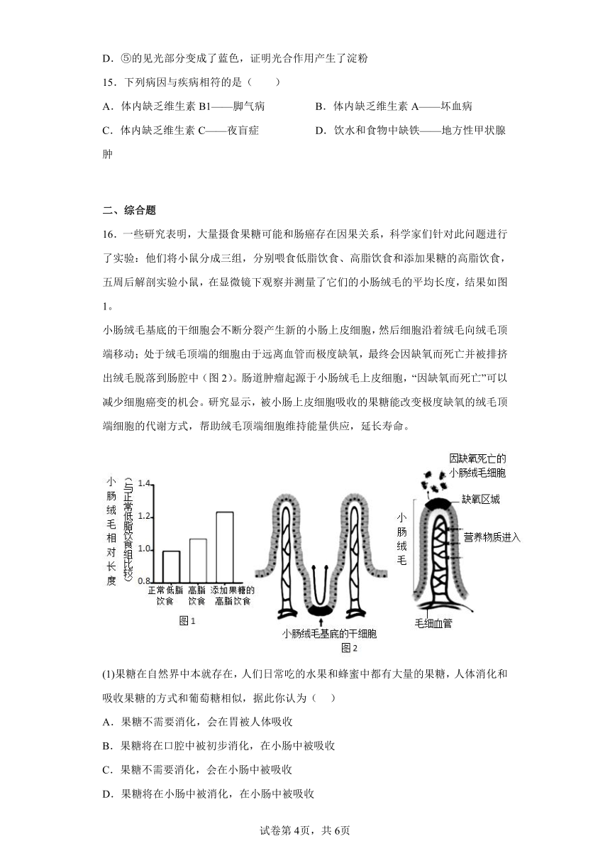 北京版 七年级上册生物 第四章 生物的营养 练习 （附答案）