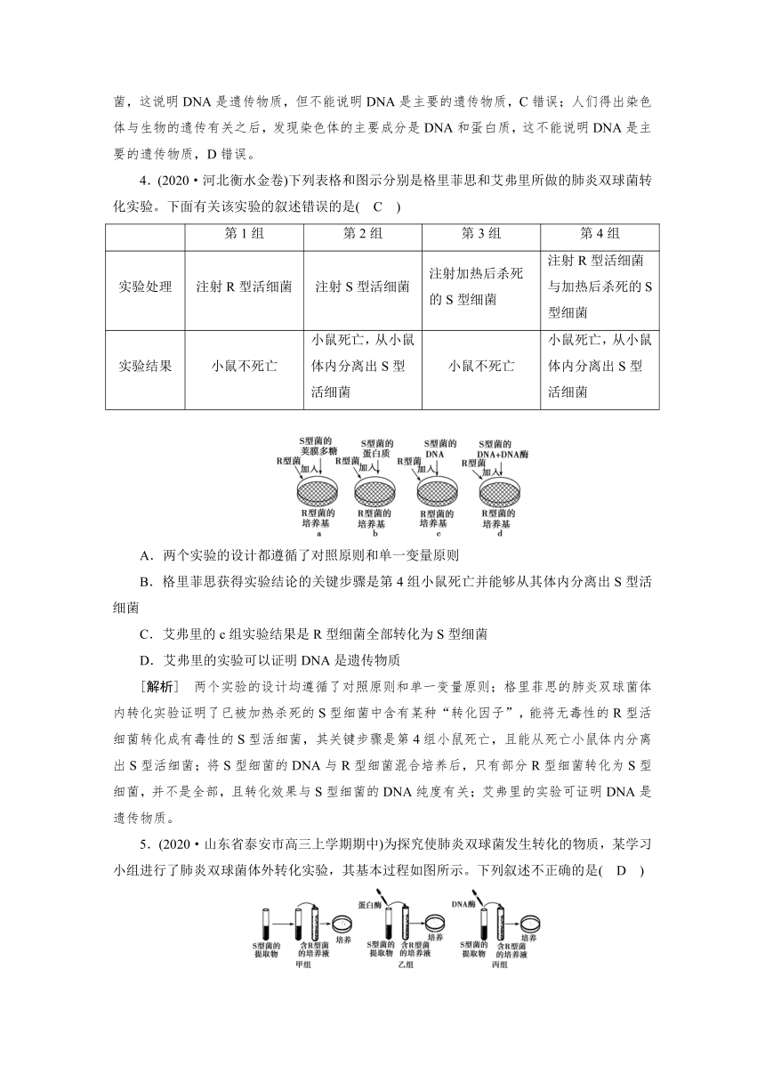 高中生物同步训练案 (17)DNA是主要的遗传物质（含答案详解）