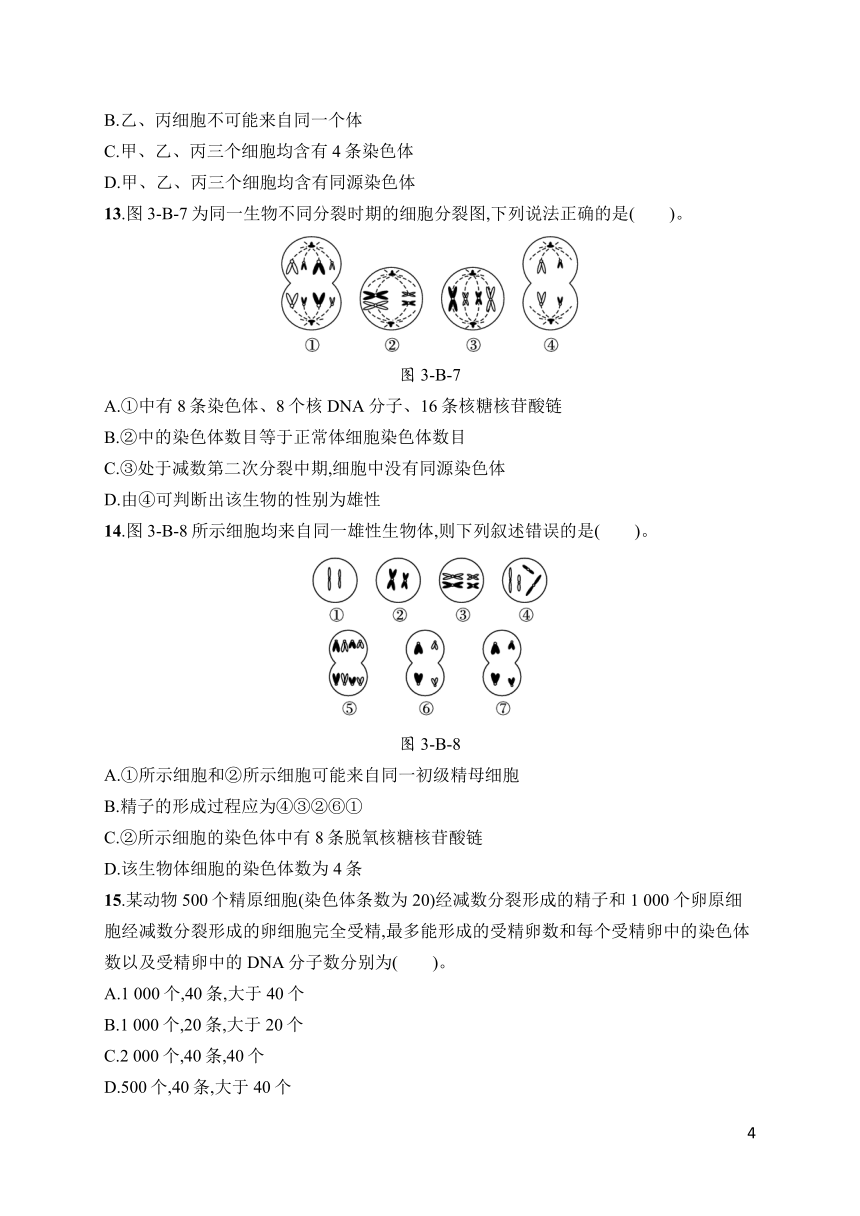 高中生物北师大版必修二第3章 章节测评（含答案）