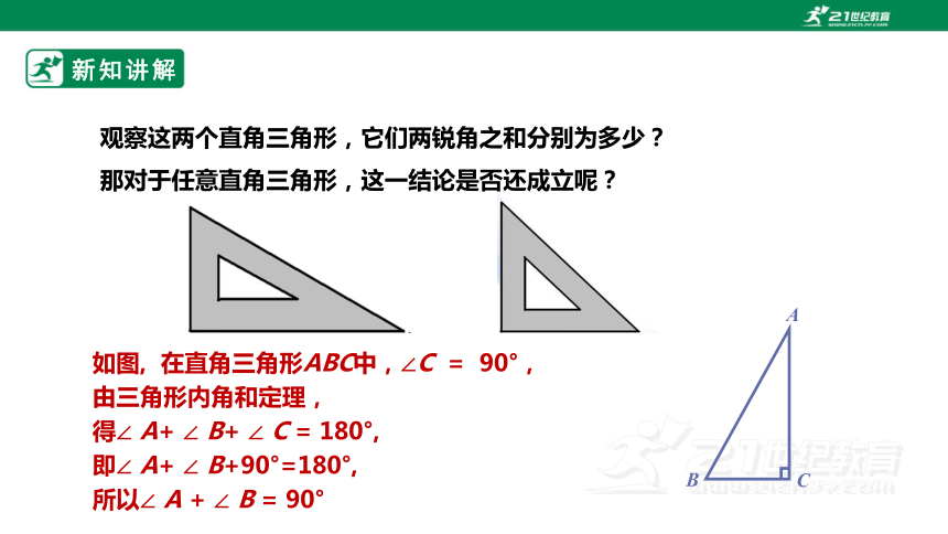 2.6.1 直角三角形的性质 课件（共19张PPT）