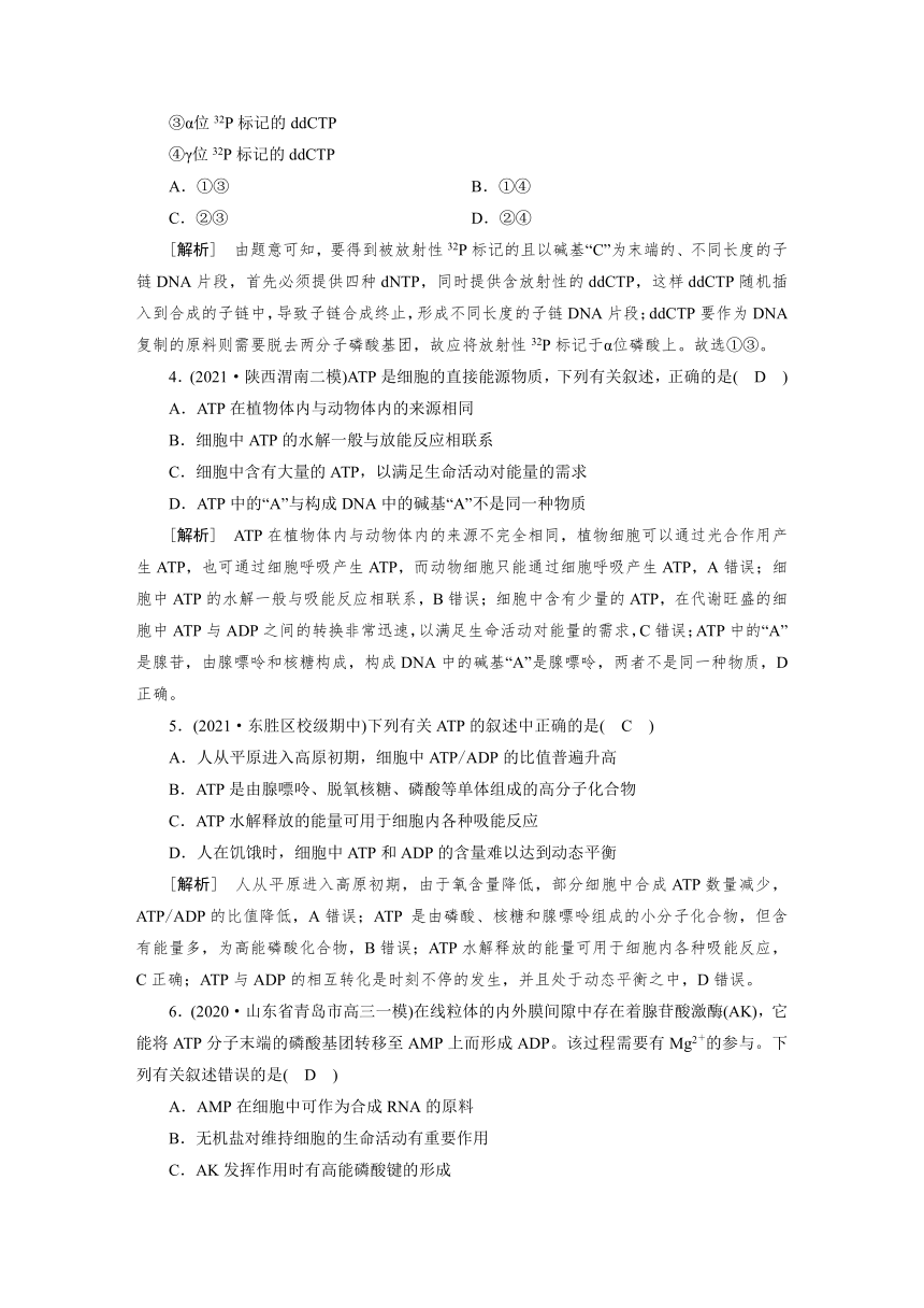 高中生物同步训练案 (9)ATP与细胞呼吸（含答案详解）