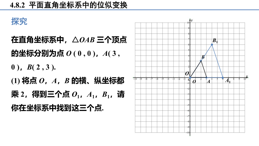 4.8.2 平面直角坐标系中的位似变换 课件(共23张PPT)