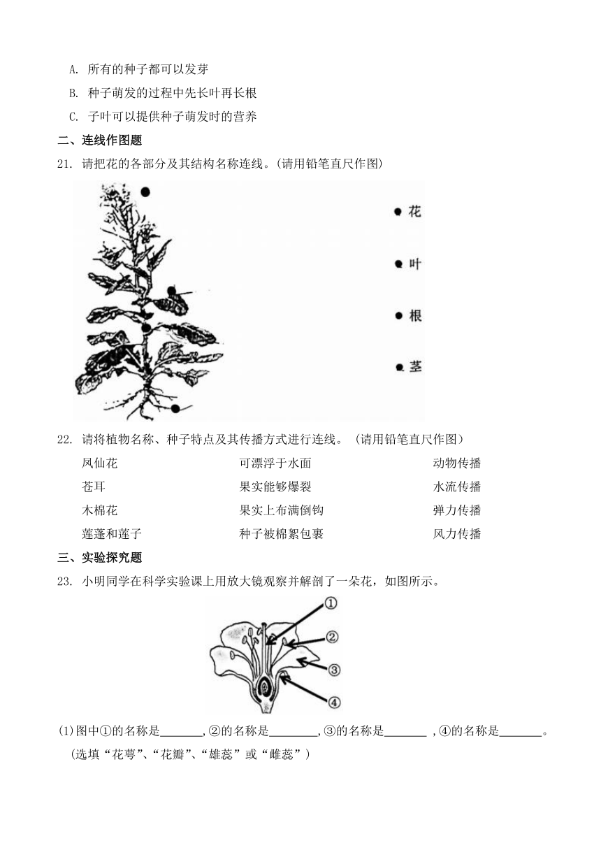 （教科版）四年级下册科学第一单元：植物的生长变化检测（含答案）