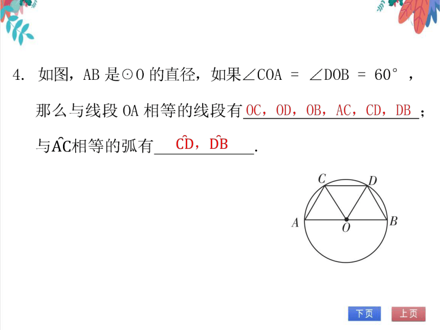 【北师大版】数学九年级（下）3.2 圆的对称性 习题课件