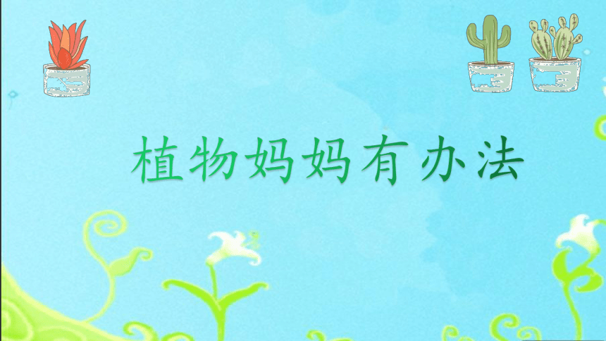 3植物妈妈有办法 课件 (共21张PPT)