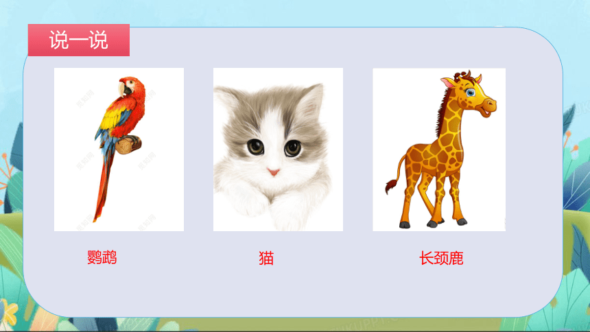 部编版二年级上册口语交际：有趣的动物课件 (共16张PPT)