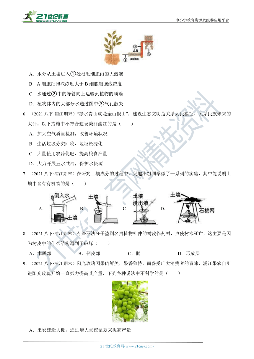 2022年8年级下册 期末尖子生必刷题 04 第4章 土壤与植物综合测试（含答案）