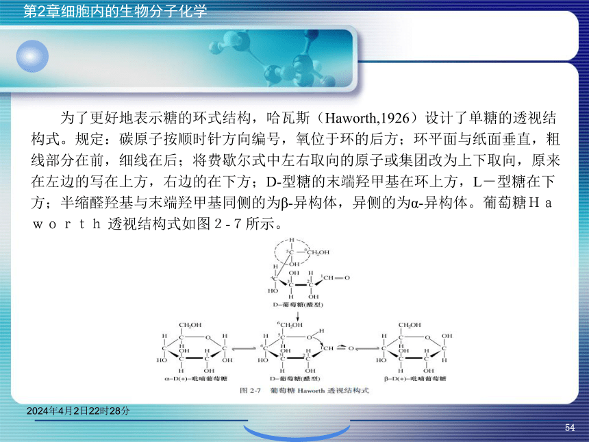 2.2糖类化学 课件(共46张PPT)- 《环境生物化学》同步教学（机工版·2020）