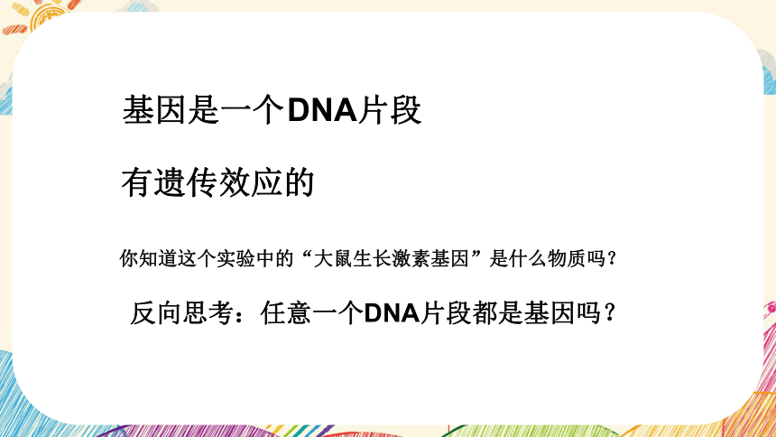 7.2.2 基因在亲子间的传递课件(共33张PPT)人教版 八年级下册