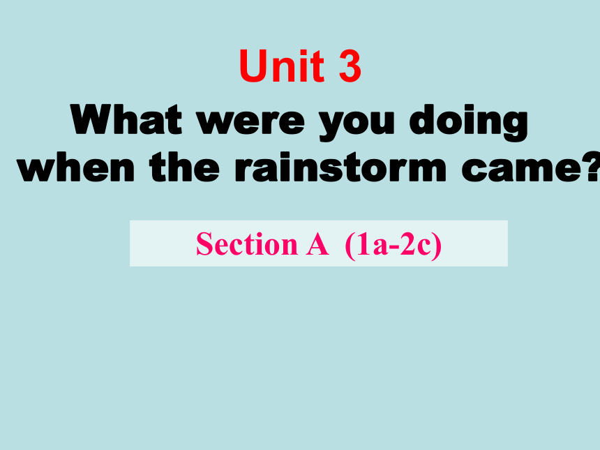 鲁教（五四）版八年级上册Unit 3 What were you doing when the rainstorm came？Section A (1a-2c) 课件(共24张PPT)
