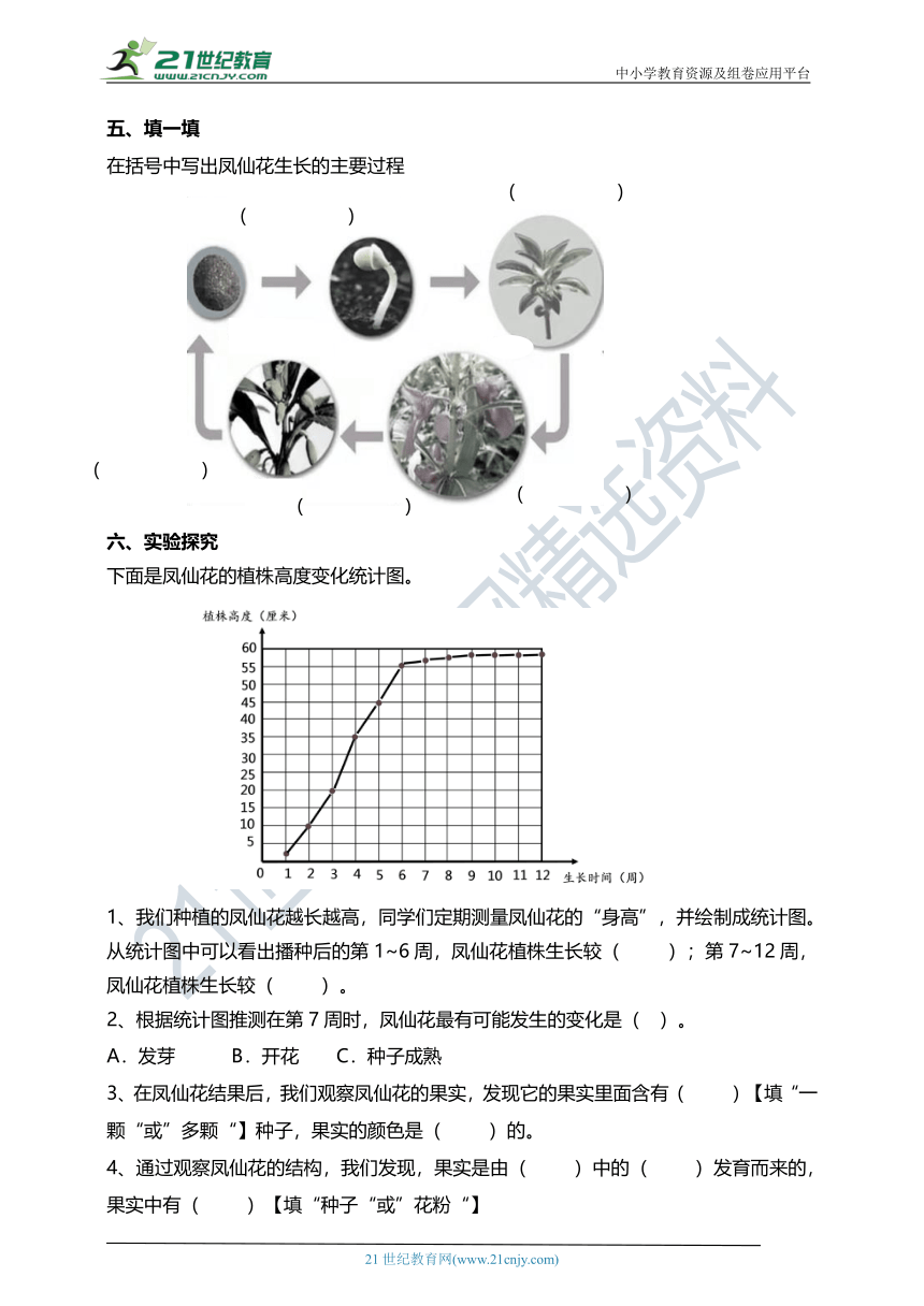 1.8凤仙花的一生 试题（含答案解析）