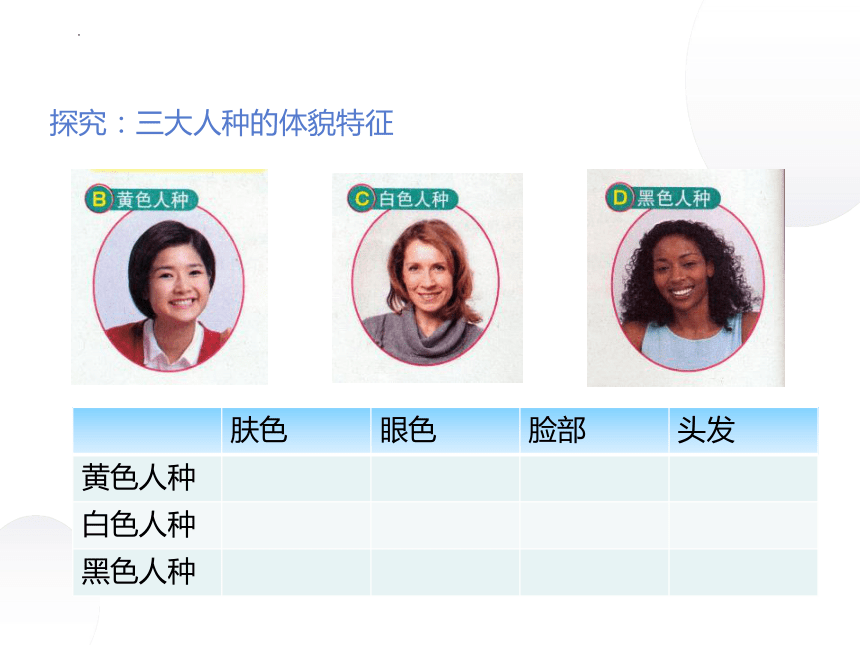 3.1《人种与人口》 第一课时 课件(共17张PPT)2022-2023学年中图版地理八年级上册