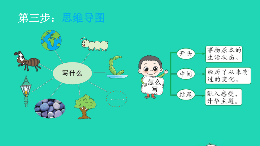 部编版六年级语文上册《习作：变形记》课件（共17张PPT）