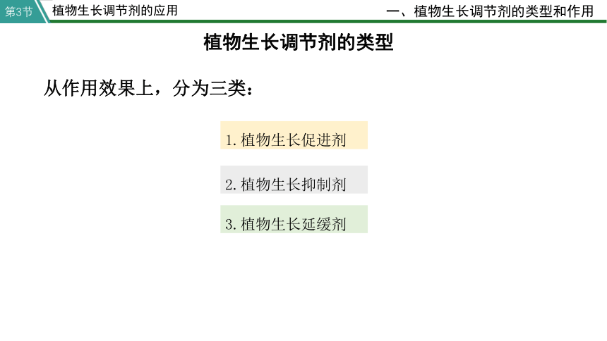 5.3 植物长生调节剂的应用  人教版（2019）选择性必修1(共22张PPT)