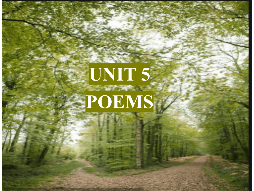人教版（2019）选择性必修第三册Unit 5 Poems Using Language-同步课件（43张）