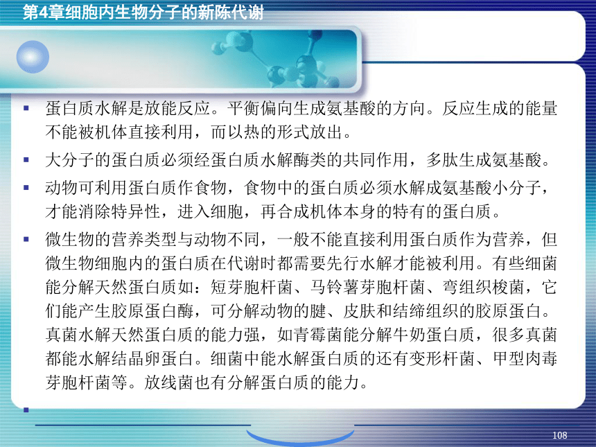 4.细胞内生物分子的新陈代谢_4 课件(共29张PPT）- 《环境生物化学》同步教学（机工版·2020）