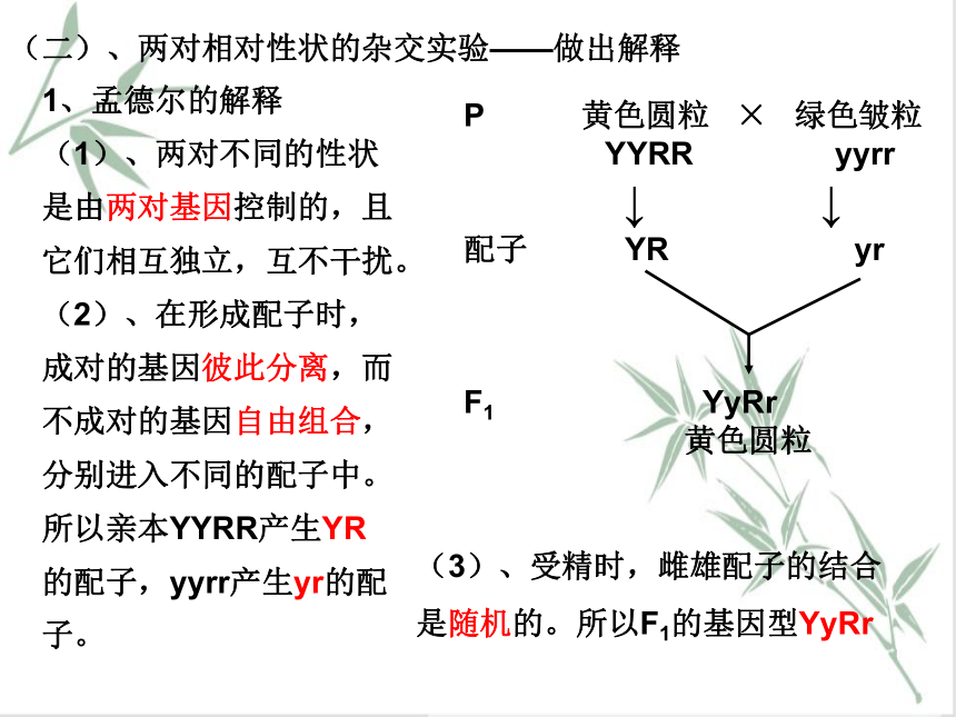 1.2 孟德尔从两对相对性状的杂交实验中总结出自由组合定律 课件（共44张PPT）