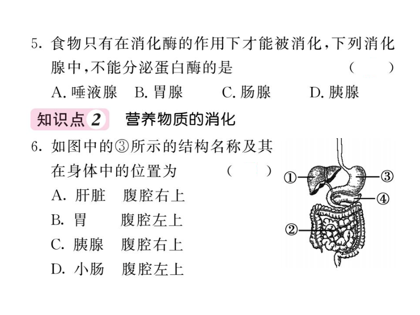 2020-2021学年北师大版七年级生物下册8.2 食物的消化和营养物质的吸收1 习题课件（15张PPT）