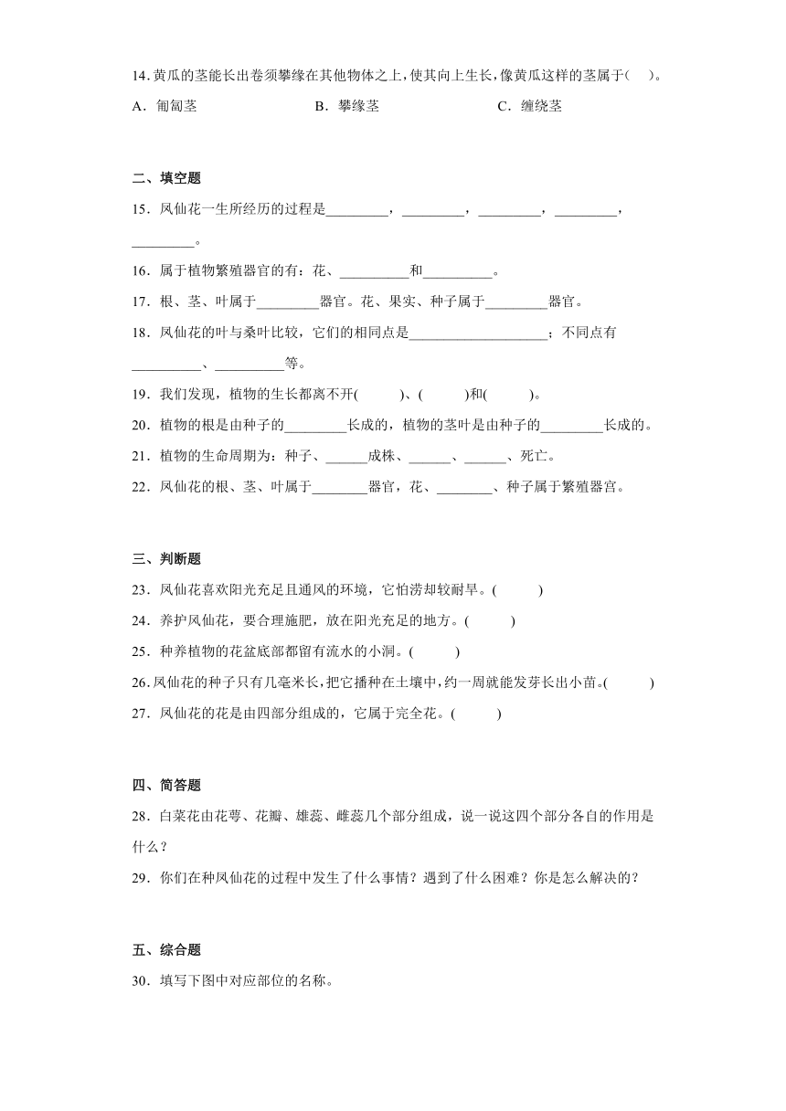 人教鄂教版（2017秋）三年级科学下册第二单元综合测试卷种凤仙花（二）含答案