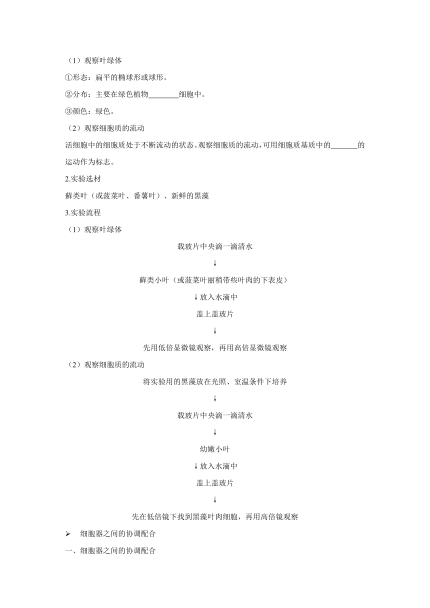 3.2细胞器之间的分工合作  导学案——2022-2023学年高一生物人教版（2019）必修一