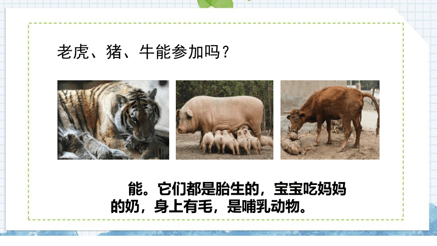 苏教版（2017秋） 四年级上册1.4哺乳类课件(含练习)（30张PPT)