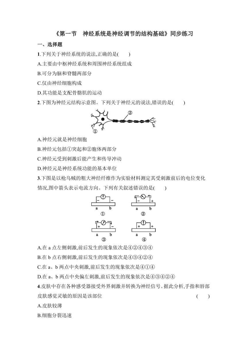 2.1 神经系统是神经调节的结构基础 同步练习（含答案）