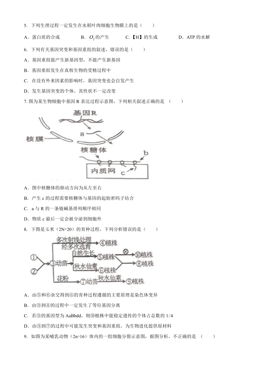 安徽省合肥市第十一高中2020-2021学年高二下学期（4月）第一次月考生物试题 Word版含答案